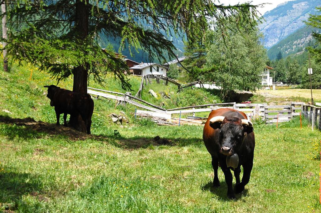Ferienwohnung Allalinblick Saas Fee Kültér fotó